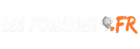 Les punaises de Lits