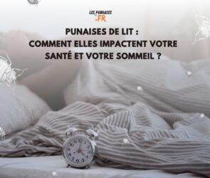 punaises de lit sommeil