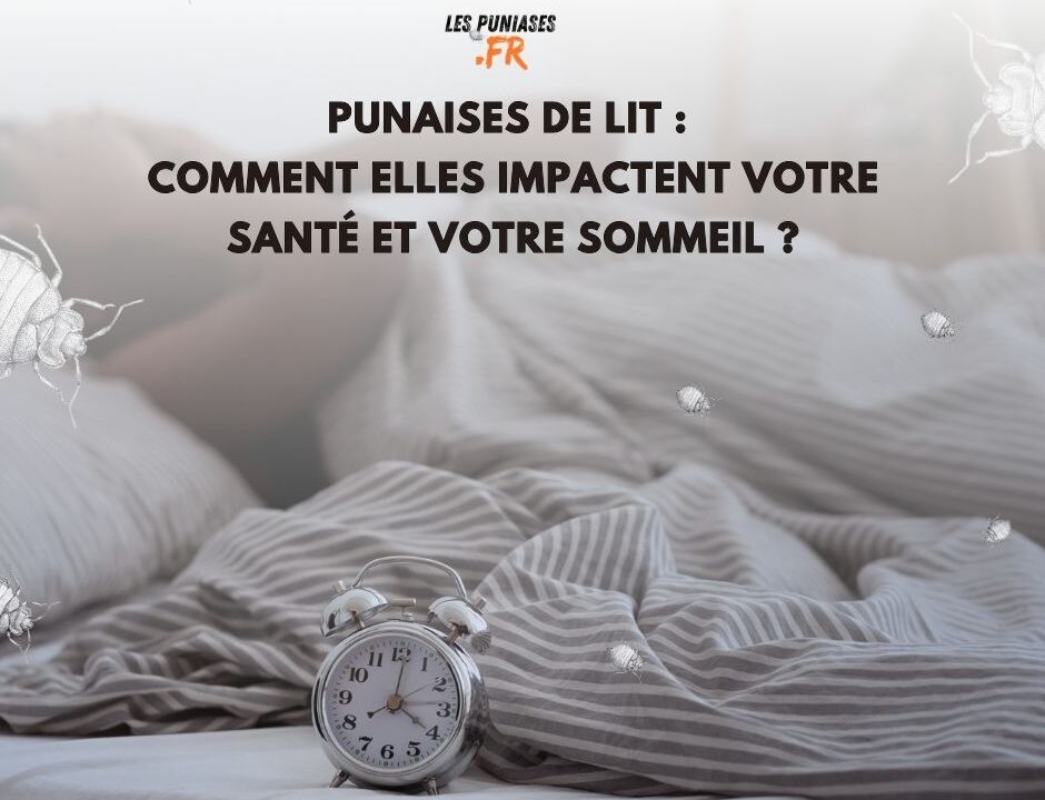 punaises de lit sommeil