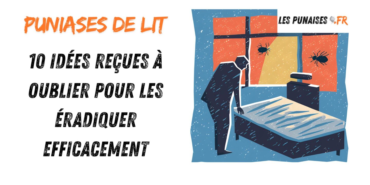 10 idées reçues à oublier pour les éradiquer efficacement