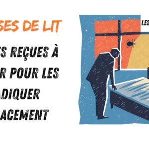 10 idées reçues à oublier pour les éradiquer efficacement