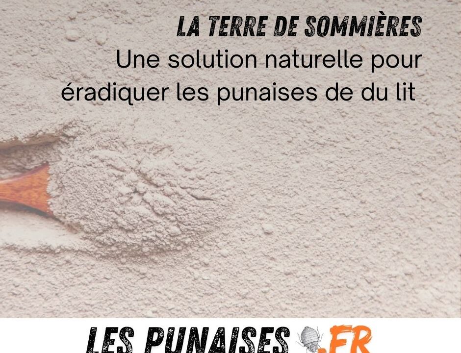 terre de sommière et punaises de lit